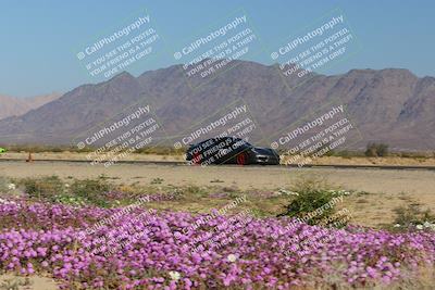 media/Jan-29-2023-PCA San Diego (Sun) [[aa0301ccc2]]/Yellow Group/Session 1 (Turn 15 Bloom)/